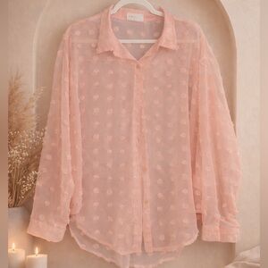 Amoli Long Sleeve Sheer Blouse